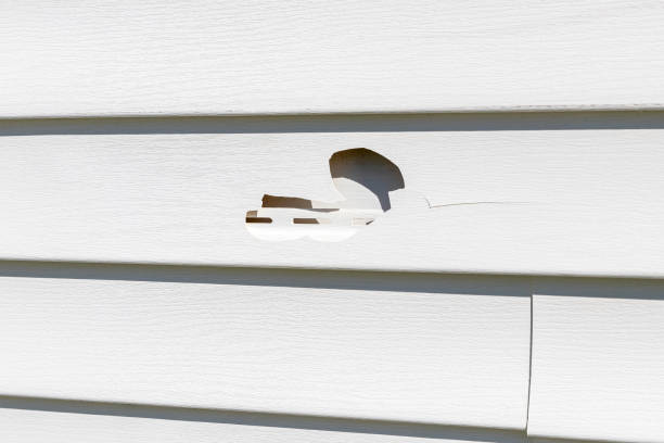  Bloomington, CA Siding Installation Pros